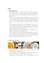 [국제경영] 본죽 글로벌 경영 사례-2