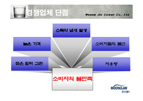 [국제경영] 웅진코웨이 러시아진출-12