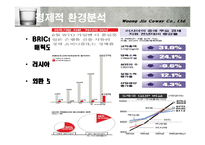[국제경영] 웅진코웨이 러시아진출-13