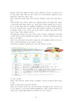 [인터넷마케팅] 온라인 개인 맞춤 서비스-10