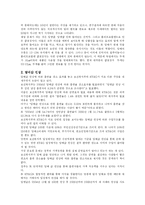 [글로벌지역연구] KT&G 성공사례 -BAT를 비교 분석-17