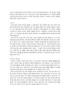 [국제마케팅] 아이리버의 마케팅 전략 분석-9