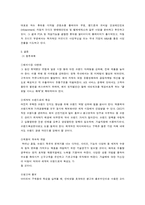 [국제마케팅] 아이리버의 마케팅 전략 분석-13