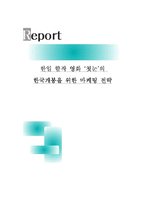 [마케팅전략] 한일 합작 영화 `첫눈`의 한국개봉을 위한 마케팅 전략-1