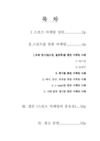 [국제마케팅] 스포츠 마케팅-2