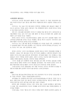 [국제마케팅] 스포츠 마케팅-8