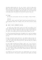 [국제마케팅] 스포츠 마케팅-18