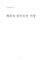 캐즘과 블루오션 시장-1
