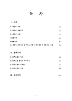 캐즘과 블루오션 시장-2
