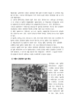 [일본사회] 일본의 대동아 공영권과 인도네시아 식민통치-5