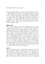 [일본사회] 일본의 대동아 공영권과 인도네시아 식민통치-8