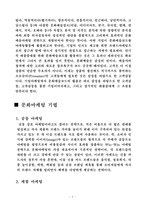 문화마케팅 레포트-8