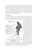 [일본사회] 가부키와 경극의 비교를 통해 알아본 일본과 중국의 연극-11