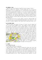[토지정책론] 행정중심복합도시에 대하여-6