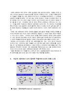 [인간관계론] 멘토링과 비공식 사회 네트워크-4