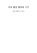 [자원환경] 국제 환경 협약과 기구 -새로운 국제환경기구의 필요성-1