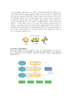 [지역사회] 지역사회복지운동-17