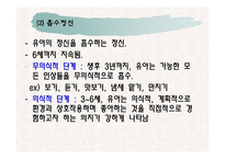 [유아교육] 유아교육프로그램의 고찰 fp-5