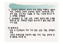 [유아교육] 유아교육프로그램의 고찰 fp-13