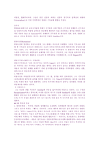 [신학, 종교학, 기독교학](독서보고서)폴틸리히의 그리스도교사상사-2