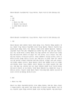 멘토와 멘토링의 주요과업에 따른 기능을 제시하고, 학습자 자신이 한 명의 멘토링을 선정-1