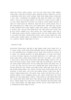 동남아의 다민족국가의 비교와 발전방향-9