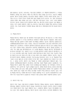 미래에너지 개발현황 및 미래에너지 정책제안-3