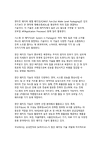 반도체 산업의 기술 혁신과 글로벌 경쟁력 분석-13