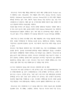 국경론) 美 국가 분석에 따른 루트로닉社 대미 비즈니스 성공 전략-5