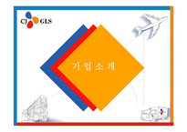 [국제물류] CJ GLS-3