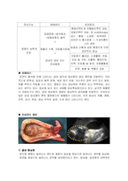 [간호학] 담낭염의 문헌고찰-4
