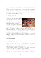 [사회] 말레이시아반도에 거주하는 다약(다야크)족과 사카이(세노이)족 조사-7