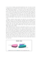 [가족복지] 가정폭력 - 아내학대-10