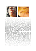 [가족복지] 가정폭력 - 아내학대-14