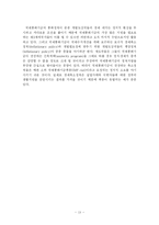 [정치학] 국제통화체제의 정치경제-13