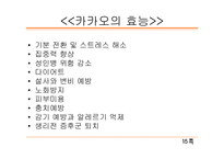 [마케팅] 드림카카오 마케팅 전략-15