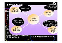 [국제경영] 이랜드 E-land 중국 진출 사례 분석-10