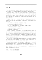 [다국적기업론] Born Global(BG) 기업전략-3