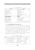 [다국적기업론] Born Global(BG) 기업전략-13