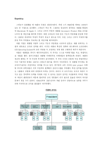 [경영학] 애플의 디자인경영-8