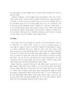 [경영학] 애플의 디자인경영-11