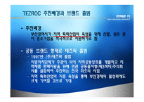[경영실패사례] ㈜ 테즈락 TEZROC 기업실패사례-5