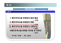 메트로 섹슈얼 마케팅-12