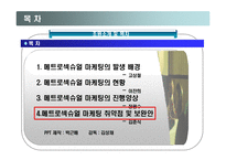 메트로 섹슈얼 마케팅-16