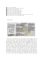[국제경영] 이마트의 중국 시장 성공 사례-2