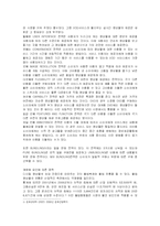 온라인 영상물 유통의 전략-2