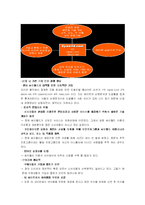 [인터넷비즈니스] 싸이월드 성공사례-10