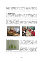체험마케팅 -`크리스피크림`과 감각마케팅-5