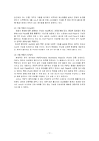 [마케팅] iPod(아이팟) 마케팅전략-11