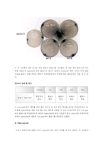 [생물학실험][서울대]형질전환-4